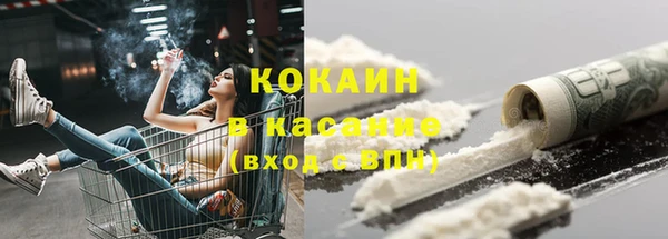 хмурый Алексин