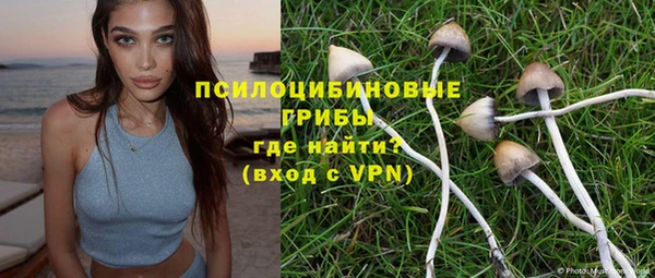 марки lsd Абаза