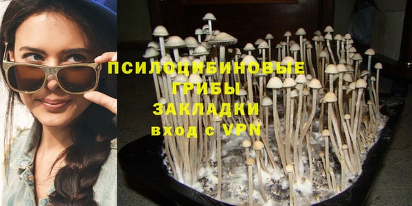 гидропоника Алексеевка