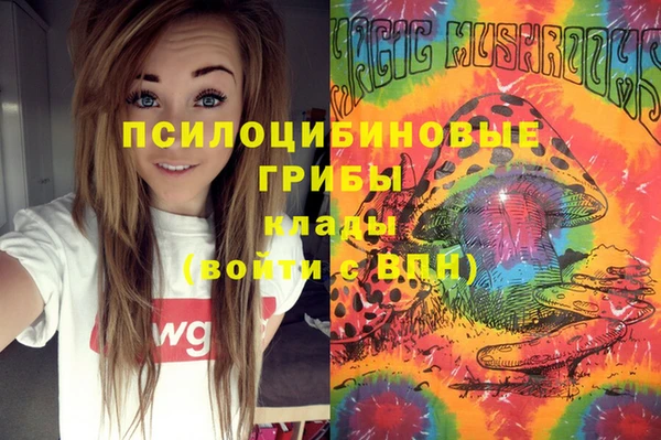 хмурый Алексин