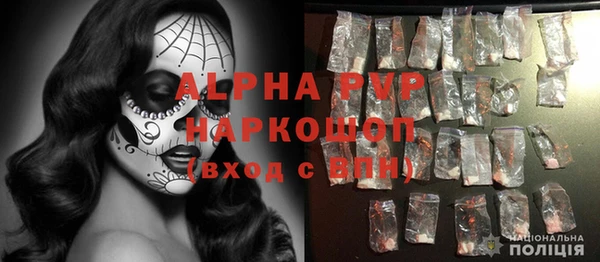 хмурый Алексин
